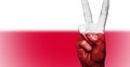 Polska flaga z gestem "V"