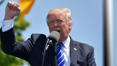 Prezydent elekt USA Donald Trump