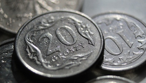 Złotówka, zdjęcie poglądowe