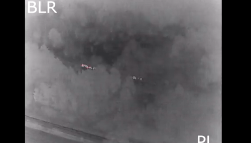 „Szybka reakcja polskich służb na zorganizowany przerzut”. Straż Graniczna publikuje nagranie [WIDEO]