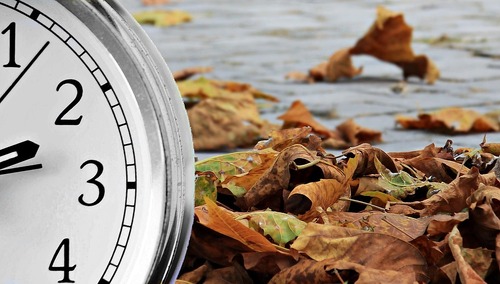 zdjęcie ilustracyjne