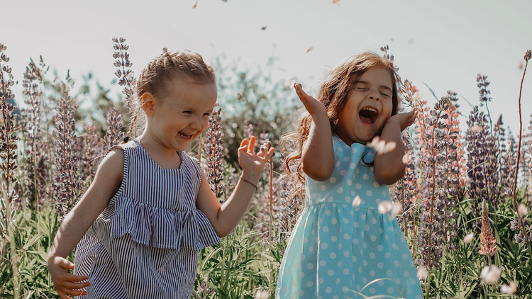 dzieci na łące/zdjęcie poglądowe