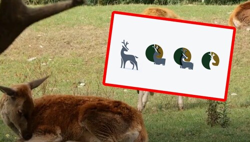 Znany grafik Andrzej Pągowski dokonał plagiatu? Afera wokół logotypu PZŁ