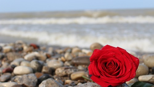 [Tylko u nas] Agnieszka Żurek: Spoczywaj w pokoju, Panie Sławku. Niech święty Maksymilian wyjdzie Ci na spotkanie