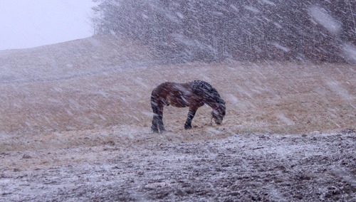 zdjęcie ilustracyjne