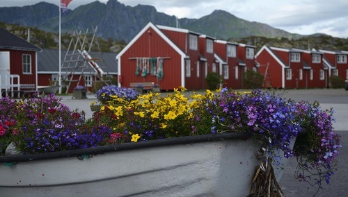 Domek letni - zdjęcie poglądowe