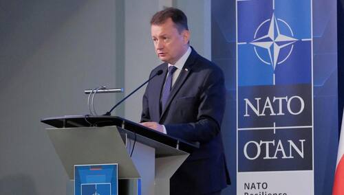 Polska kupi uzbrojone drony w ramach programu Gladius. Jest decyzja szefa MON