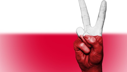 „De Telegraaf”: Europejscy politycy nie powinni uczyć Polaków na temat wolności