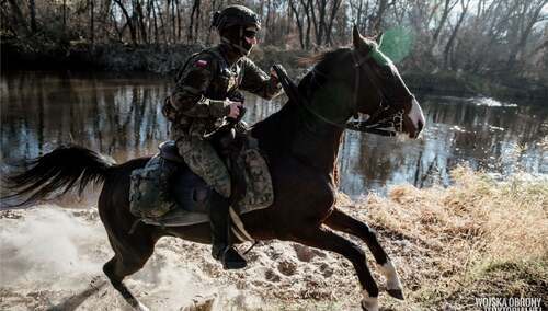 Żołnierz WOT na konnym patrolu na granicy z Białorusią