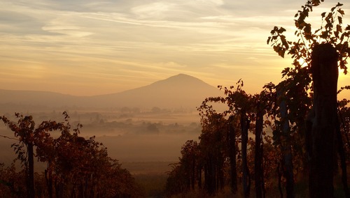 Ewangelia na V Niedzielę Wielkanocną z komentarzem [video]