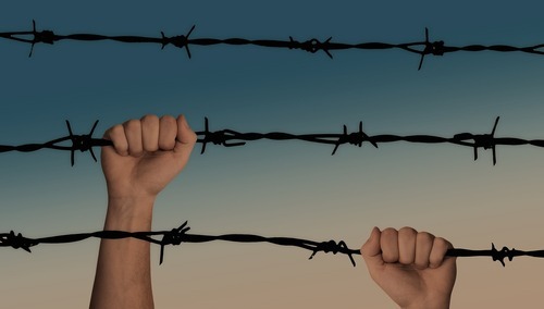 Drut kolczasty - zdjęcie poglądowe