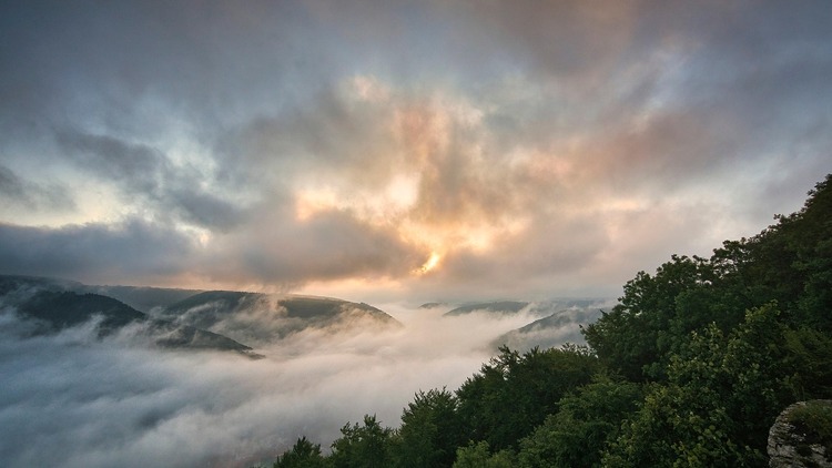 W wielu rejonach Polski zalegają gęste mgły - zdjęcie ilustracyjne