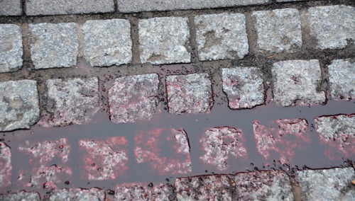 „Robert zginął, ponieważ był Polakiem”. Wielka Brytania: Sąd wydał wyrok ws. brutalnego morderstwa