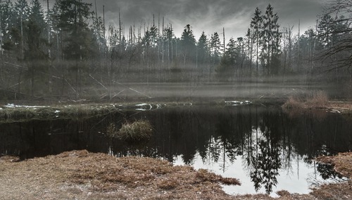 Dzieci szukały go od tygodni. Zwłoki znalezione na bagnach to najprawdopodobniej ciało poszukiwanego