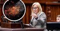 Rząd zakaże fajerwerków? Minister Paulina Hennig-Kloska zabrała głos