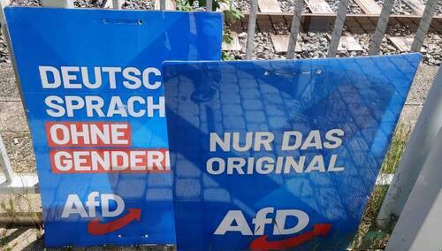 Plakaty wyborcze AfD w Saksonii