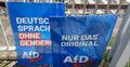 Plakaty wyborcze AfD w Saksonii
