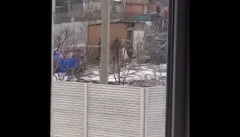 [wideo] Tak wygląda armia „mocarstwa”. Głodni rosyjscy żołnierze kradną kury z ukraińskiego gospodarstwa