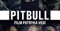 Pitbull