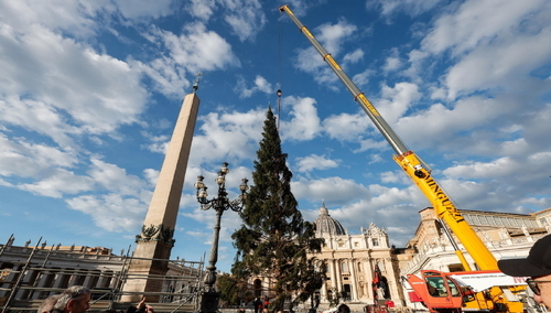 Choinka na pl. Świętego Piotra