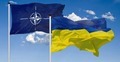 Flagi NATO i Ukrainy