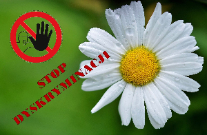 Plakat akcji poparcia Organizacji Związkowej w Stokrotce