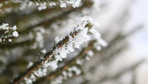 Tuż przed wigilią może pojawić się śnieg. Największe szanse w górach 