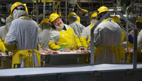 zdjęcie ilustracyjne