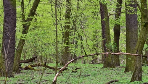 Zdjęcie ilustracyjne 