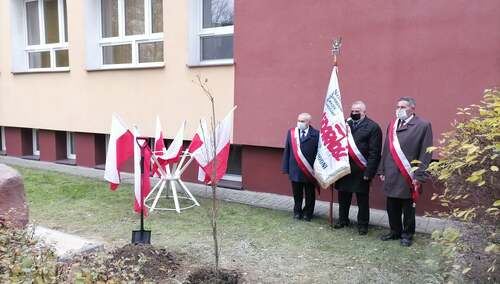 Dąb Solidarności i Wolności w 40. rocznicę rejestracji NSZZ "S"