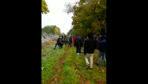 [video] Niszczenie płotu przez osoby na granicy. Min. Błaszczak: "Gdyby nie płot..."