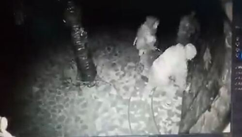 [wideo] „Stara tradycja rosyjskiej armii”. Rosyjscy żołnierze włamują się do domów Ukraińców?