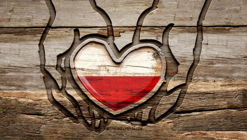 Polska flaga. Ilustracja poglądowa