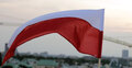 flaga Polski