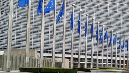 Ponad 100 ton śniętych ryb w Odrze. Komisja Europejska zabiera głos