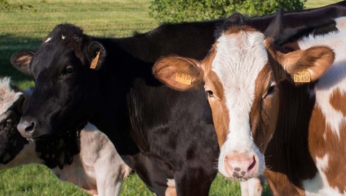 Zdjęcie ilustracyjne