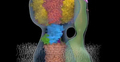 Mitochondrium. Wizualizacja Wydziału Biologii Mitochondrialnej Cambridge University