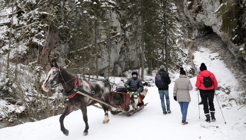 Tatry: Pierwszy feryjny weekend. Wielu turystów na górskich szlakach