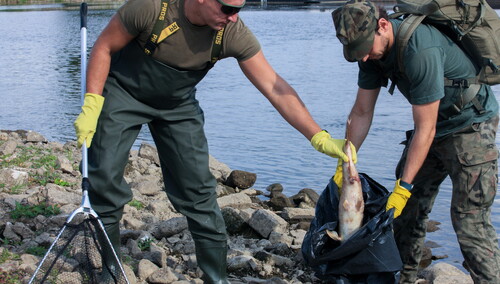 Anna Moskwa rozmawiała z komisarzem UE nt. Odry. "Nie będziemy tolerować żadnego rodzaju przestępstw"