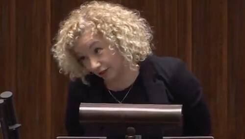 „Nie sztuka iść w ilość, ale w jakość”. Szokujące słowa posłanki Lewicy o dzieciach posła Solidarnej Polski [WIDEO]