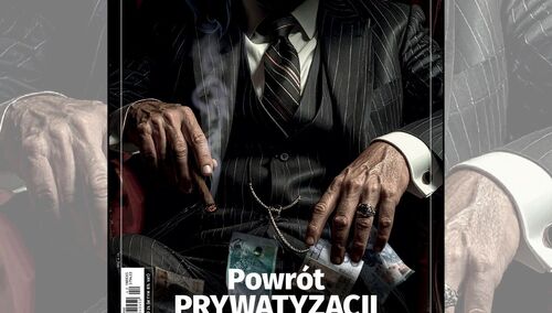 Powrót prywatyzacji - zdjęcie poglądowe