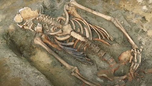 Szczątki odnalezione przez zespół prof. Szwagrzyka na terenie więzienia Toledo