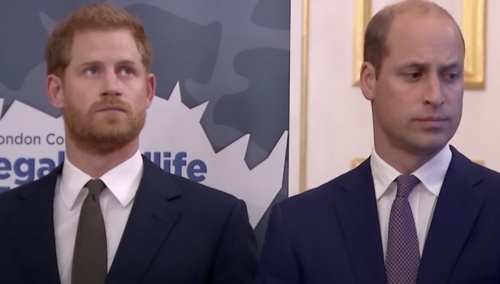 Książę Harry i książę William