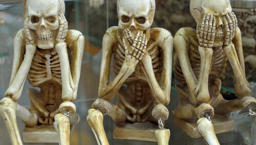 zdjęcie ilustracyjne