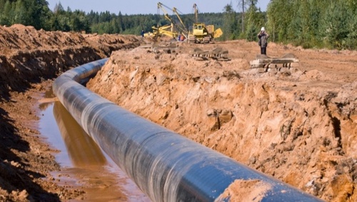 Zdjęcie ilustracyjne / fot. Flickr/ NPCA Online/ CC BY 2.0