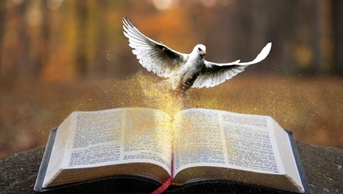 [Tylko u nas] Aleksandra Jakubiak OV: Wasz własny język