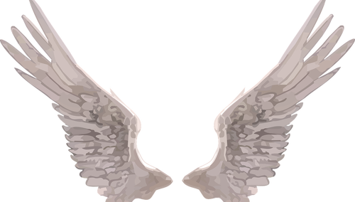 Michał Orzechowski: Kiedy zobaczymy „Skrzydła Wolności”?