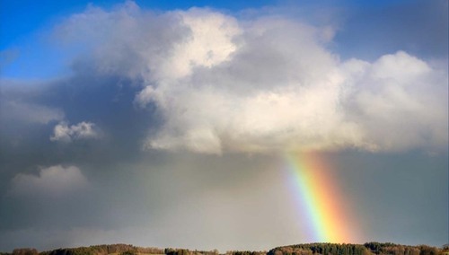 Zdjęcie ilustracyjne