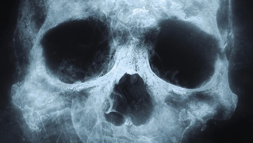 Czaszka. Ilustracja poglądowa