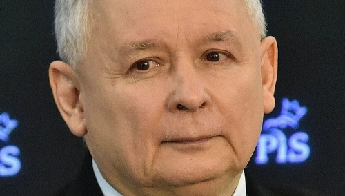 Jakub Pacan: „Piątka dla zwierząt” to nie wypadek przy pracy